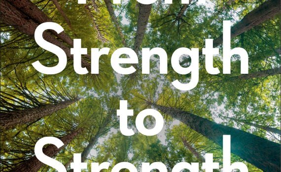 Book cover of From Strength to Strength: Finding Success, Happiness, and Deep Purpose in the Second Half of Life by Arthur C. Brooks